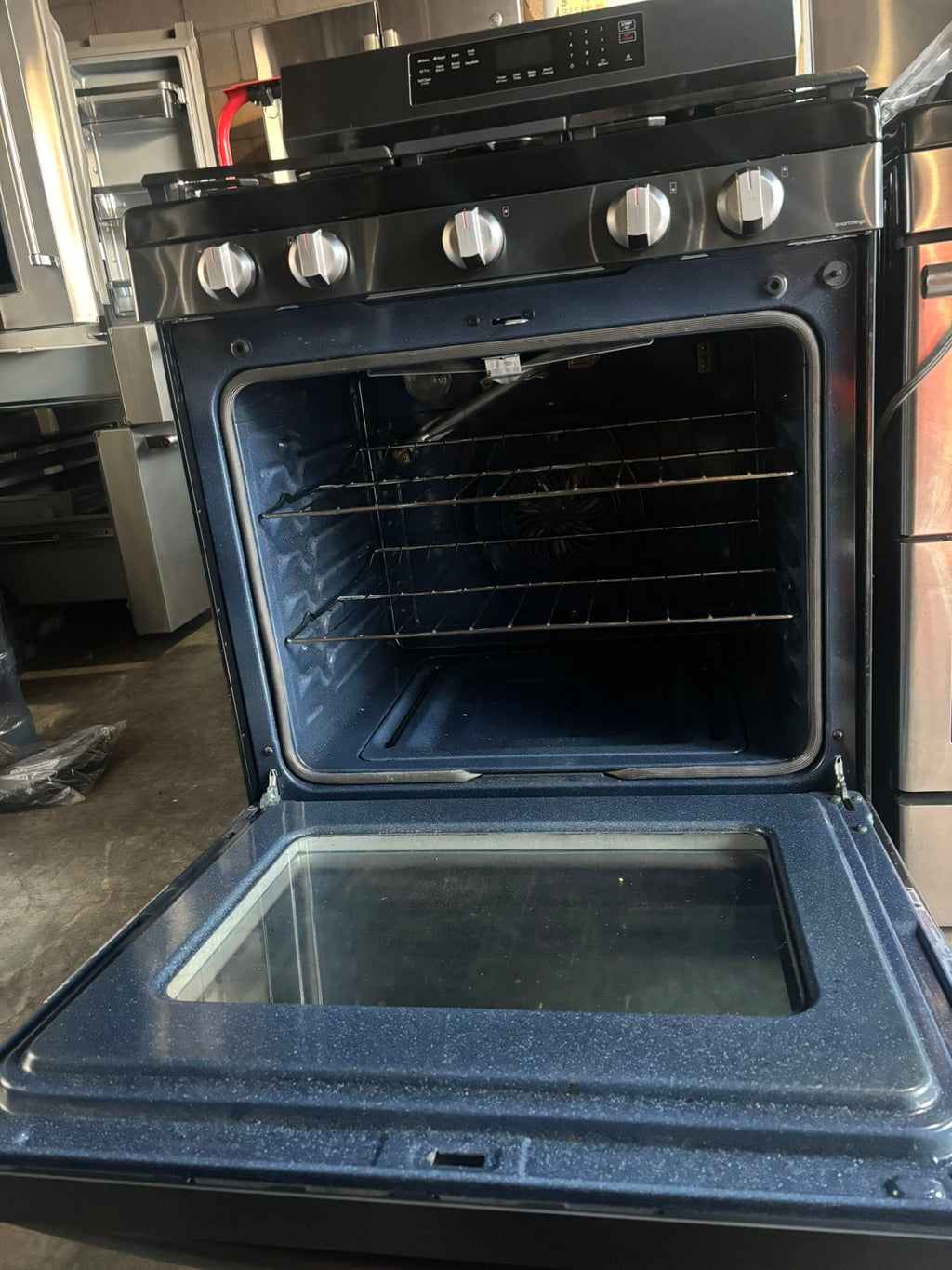 Samsung Gas Range with Convection (2021)