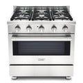 Stainless Steel Gas Range