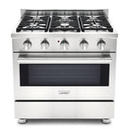 Stainless Steel Gas Range